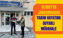 Ulubey’de Jandarmadan Yaban Hayatına Duyarlı Müdahale