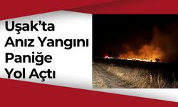 Uşak’ta Gece Yarısı Anız Yangını Paniğe Yol Açtı