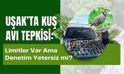 Uşak’ta Kuş Avı Tepkisi: Limitler Var Ama Denetim Yetersiz mi?