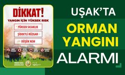 Uşak’ta Orman Yangını Alarmı