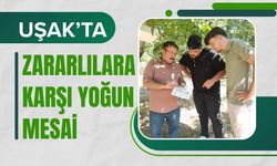 Uşak’ta Zararlılara Karşı Yoğun Mesai