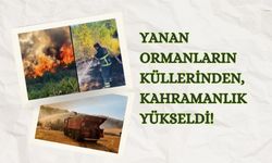 Yanan Ormanların Küllerinden, Kahramanlık Yükseldi!