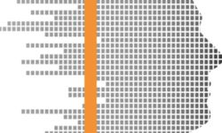Türkiye, Genç İşsizlikte OECD Zirvesinde