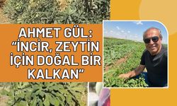 Ahmet Gül: “İncir, Zeytin İçin Doğal Bir Kalkan”
