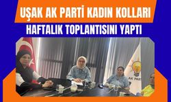 Uşak AK Kadınlar'dan Mahalle Ziyaretlerine Gönül Köprüsü