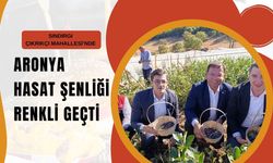 ARONYA HASAT ŞENLİĞİ RENKLİ GEÇTİ