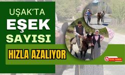 Uşak’ta Eşek Sayısı Hızla Azalıyor