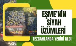 Eşme’nin Siyah Üzümleri Tezgahlarda Yerini Aldı
