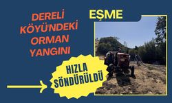 Eşme Dereli Köyü'ndeki Orman Yangını Hızla Söndürüldü