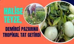 Halise Teyze, Demirci Pazarına Tropikal Tat Getirdi