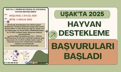 Uşak’ta 2025 Hayvan Destekleme Başvuruları Başladı