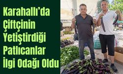 Karahallı’da Üretilen Patlıcanlar İlgi Odağı Oldu