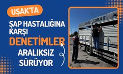 Uşak’ta Şap Hastalığına Karşı Denetimler Aralıksız Sürüyor