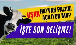 Uşak Hayvan Pazarı Açılıyor mu? İşte Son Gelişme!..