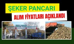ŞEKER PANCARI ALIM FİYATLARI AÇIKLANDI