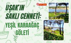 Uşak’ın Saklı Cenneti: Yeşil Karaağaç Göleti