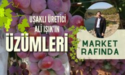 Uşaklı Üretici Ali Işık’ın Üzümleri Market Rafında