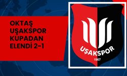 Kestel Çilekspor 2-1 Uşakspor