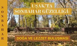 Uşak’ta Sonbahar Güzelliği: Doğa ve Lezzet Buluşması