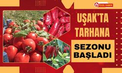 Uşak’ta Tarhana Sezonu Başladı: Pazarlar Şenlendi