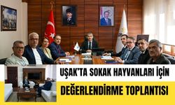 Uşak’ta Sokak Hayvanları İçin Değerlendirme Toplantısı