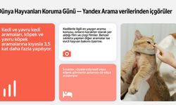 Dünya Hayvanları Koruma Günü: Kediler Zirvede