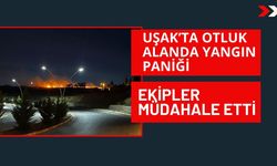 Uşak’ta Otluk Alanda Yangın Paniği: Ekipler Müdahale Etti