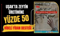 Uşak’ta Zeytin Üretimine Yüzde 50 Hibeli Fidan Desteği