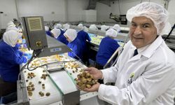 EİB’den AB ile Süreklilik Arz Eden Diyalog