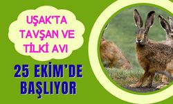 Uşak’ta tavşan ve tilki avı 25 Ekim’de başlıyor