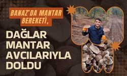 Banaz’da Mantar Bereketi, Dağlar Mantar Avcılarıyla Doldu