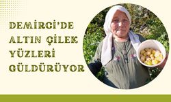 Demirci’de Altın Çilek Yüzleri Güldürüyor