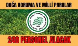 Doğa Koruma ve Milli Parklar 240 Personel Alacak