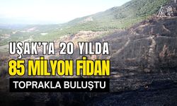 Uşak’ta 20 Yılda 85 Milyon Fidan Toprakla Buluştu