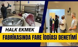 Halk Ekmek Fabrikasında Fare İddiası Denetimi