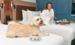 Hilton 2026 Trend Raporu: Tatillerde Yeni Dönem Başlıyor