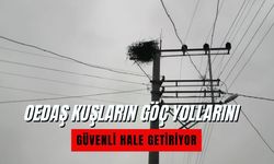 OEDAŞ kuşların göç yollarını güvenli hale getiriyor