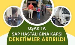 Uşak’ta Şap Hastalığına Karşı Denetimler Artırıldı