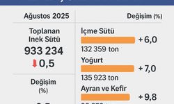 TÜİK: Süt Toplama Azaldı, Üretim Arttı