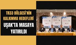 TR33 Bölgesi’nin kalkınma hedefleri Uşak’ta masaya yatırıldı
