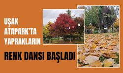 Uşak Atapark’ta Yaprakların Renk Dansı Başladı