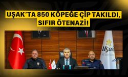 Uşak’ta 850 Köpeğe Çip Takıldı, Sıfır Ötenazi!