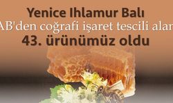 Yenice Ihlamur Balı’na AB’den Coğrafi İşaret Tescili