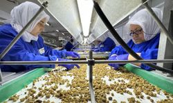 Türk Organik Sektörü Çin’le İş Birliğini Güçlendiriyor