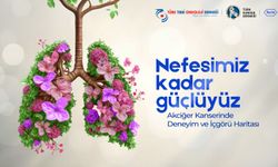 Akciğer Kanserinde Deneyim Haritası Sonuçları Açıklandı