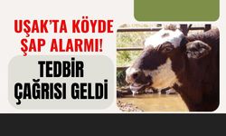 Uşak’ta Köyde Şap Alarmı! Tedbir Çağrısı Geldi