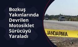 Bozkuş yakınlarında devrilen motosiklet sürücüyü yaraladı
