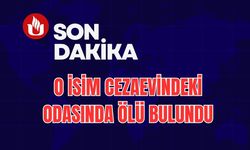 Thodex Kurucusu Faruk Fatih Özer Cezaevinde Ölü Bulundu