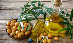 Zeytinyağı İhracatı Üretici Olmayan Ülkelerle Tutundu