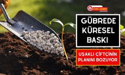 Gübrede Küresel Baskı Uşaklı Çiftçinin Planını Bozuyor